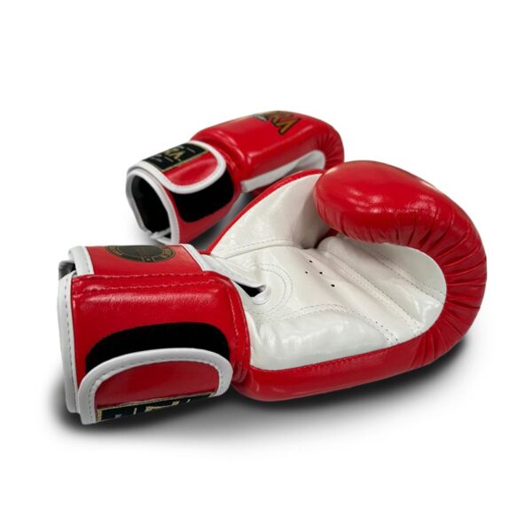 Zecora Velcro Pro Boxing Gloves 10 oz - Image 2